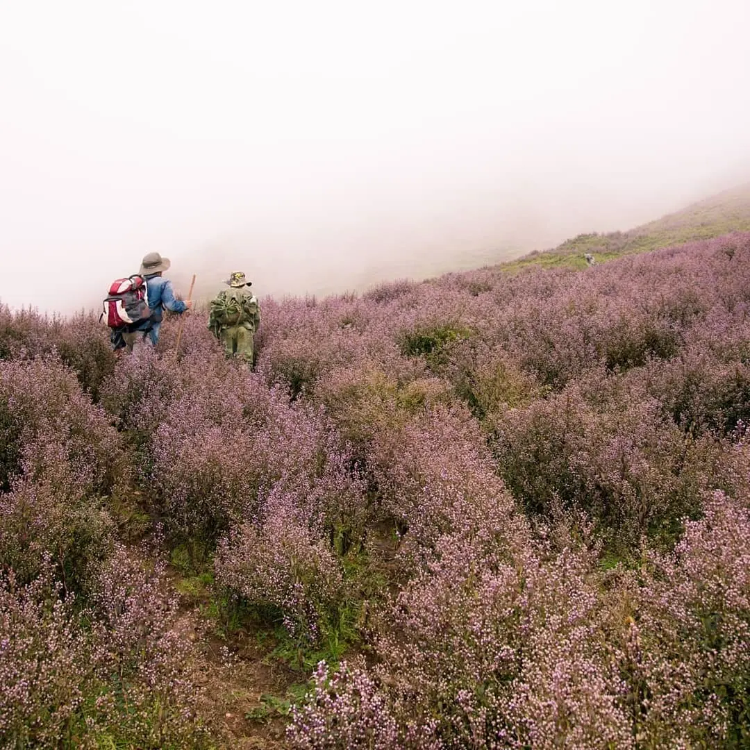 Lịch tr&igrave;nh trekking T&agrave; Ch&igrave; Nh&ugrave; - Tuy vất vả nhưng xứng đ&aacute;ng để trải nghiệm 7