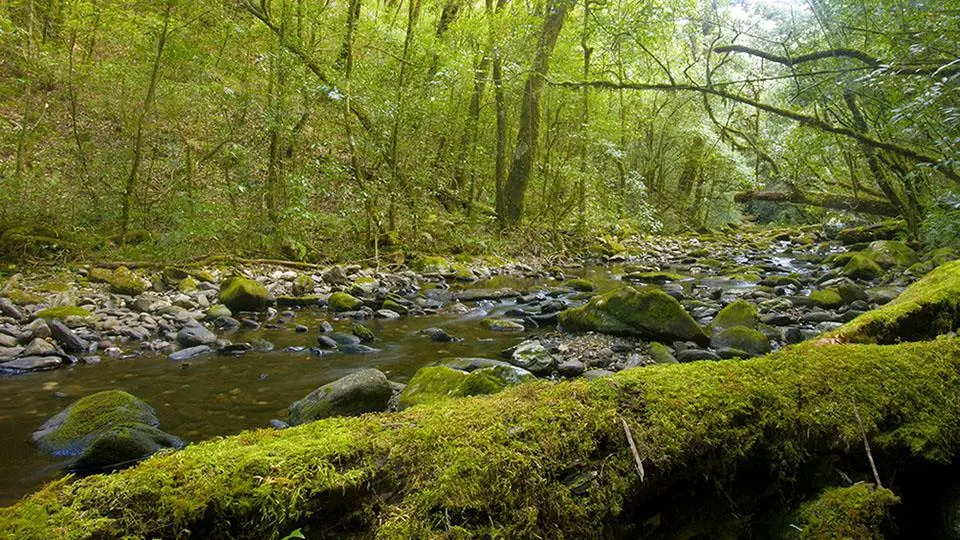 Lịch tr&igrave;nh trekking T&agrave; X&ugrave;a 3N2Đ - 72 giờ leo n&uacute;i săn m&acirc;y 17