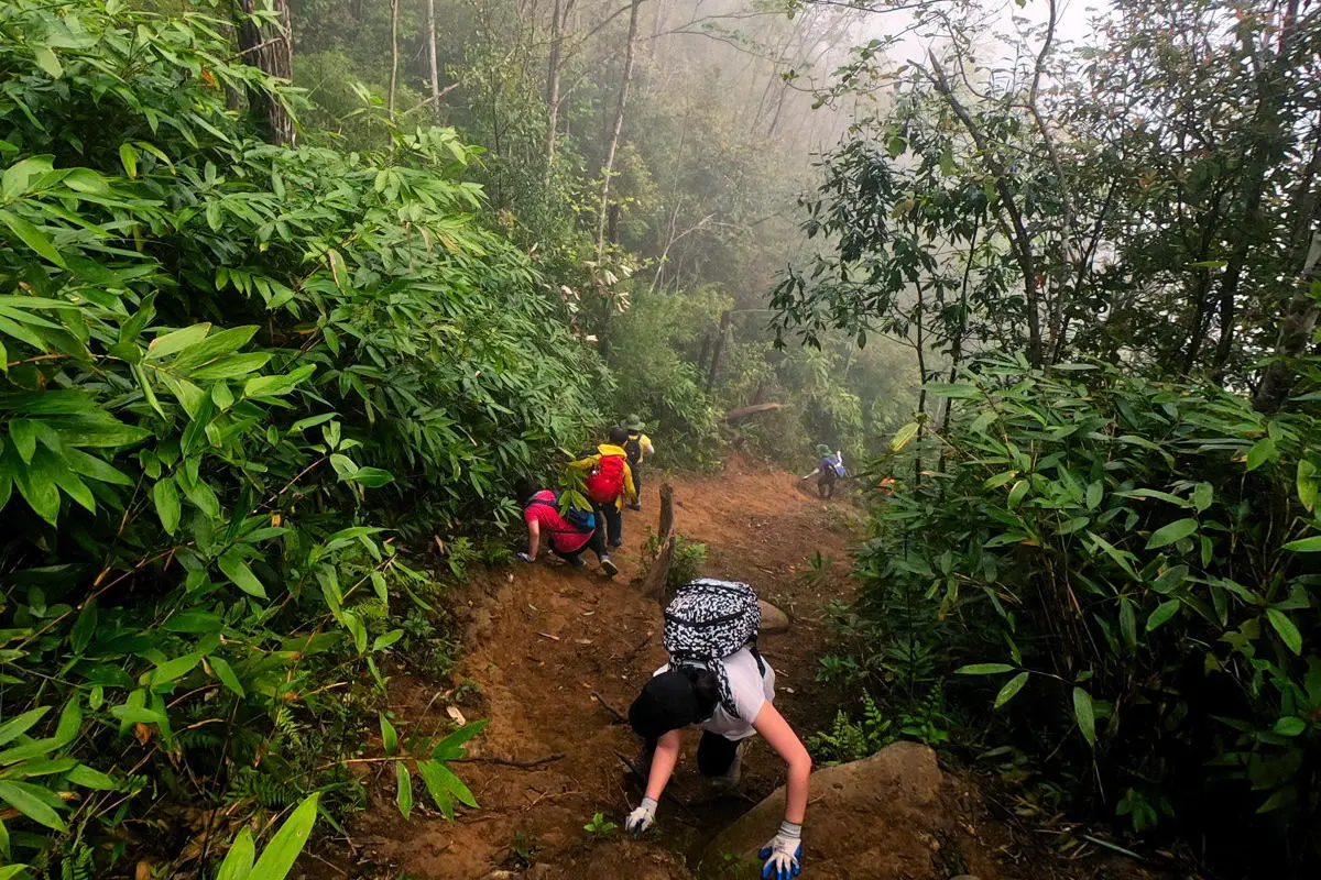 Lịch tr&igrave;nh trekking T&agrave; X&ugrave;a 3N2Đ - 72 giờ leo n&uacute;i săn m&acirc;y 22