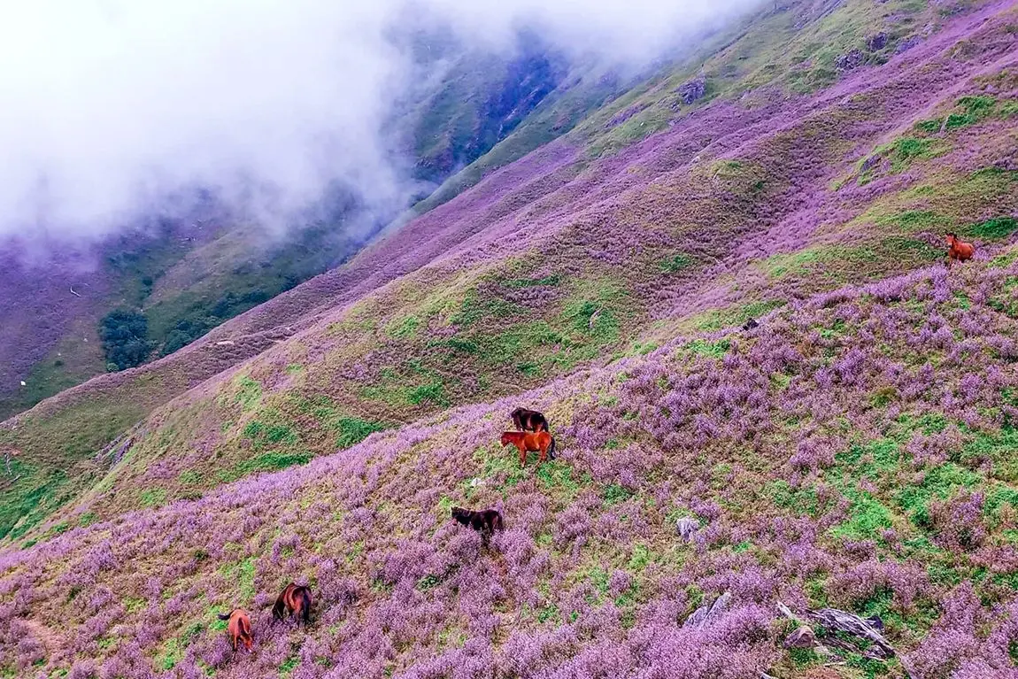 Nhanh tay bỏ t&uacute;i Lịch tr&igrave;nh trekking T&agrave; Ch&igrave; Nh&ugrave; 2N1Đ chi tiết từ MIA.vn 7