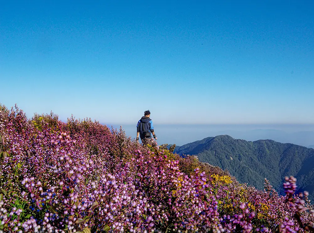 Trekking T&agrave; Ch&igrave; Nh&ugrave; 2N3Đ - Chơi vơi giữa m&acirc;y trời 7