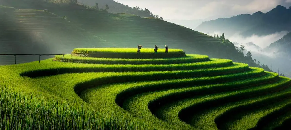Khám phá Yên Bái 2N1Đ tự túc: Đi đâu, chơi gì?