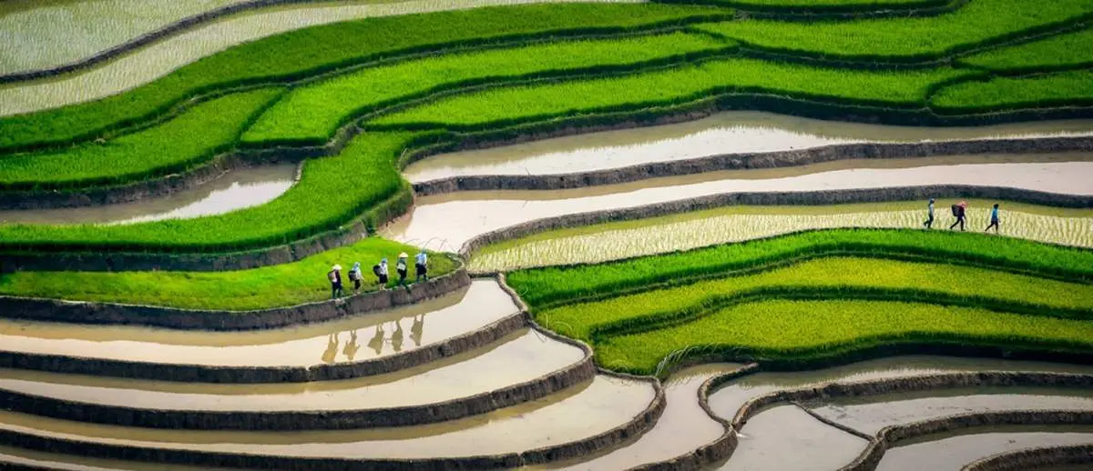 Lịch trình Mù Cang Chải 3N2Đ tự túc bảo đảm siêu vui luôn nè bạn ơi!